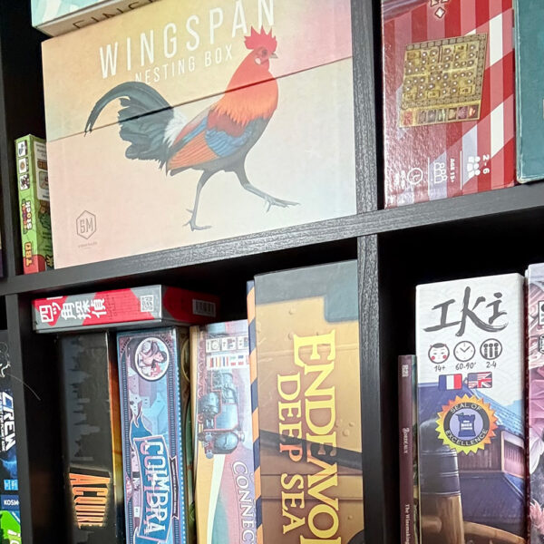 a kallax shelf filled with board games stored vertically, as they should be
